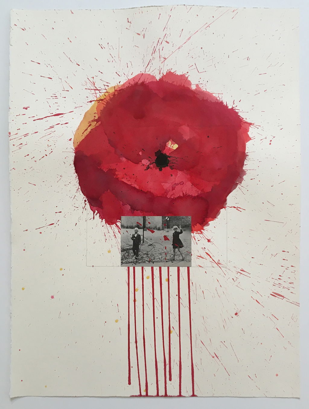 Biographical Poppies main image