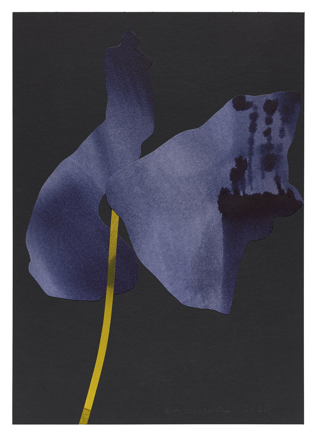 Untitled main image