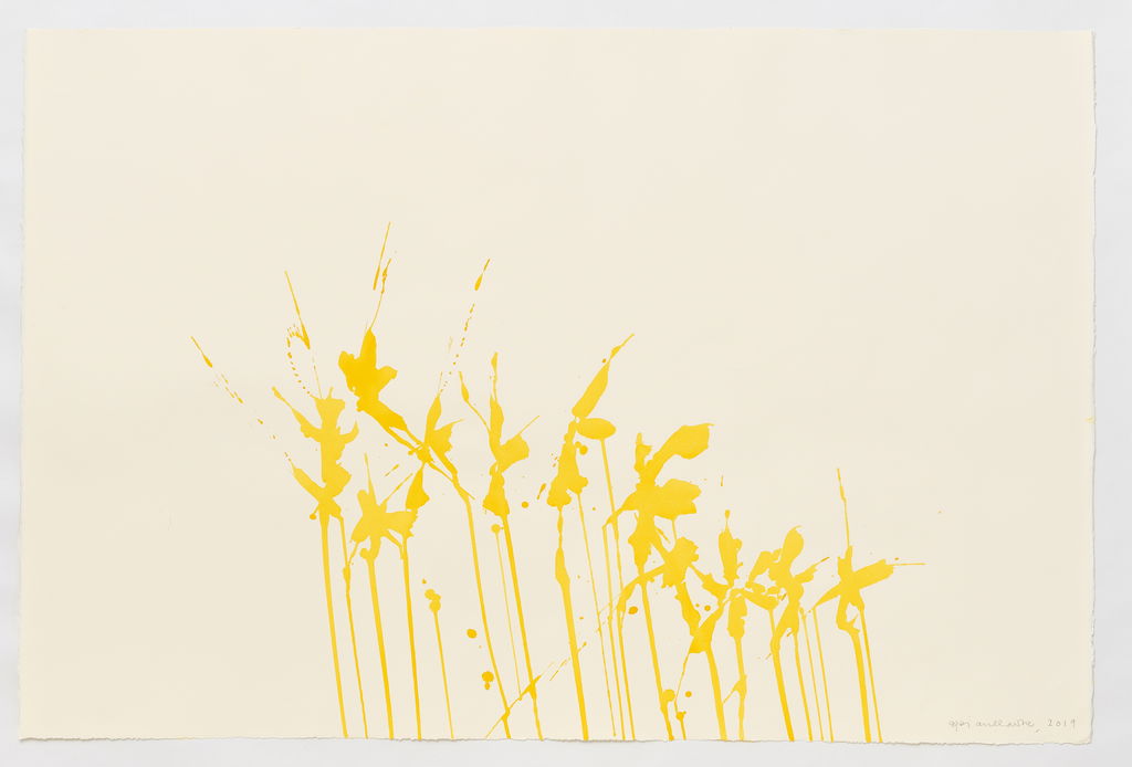 Daffodils main image