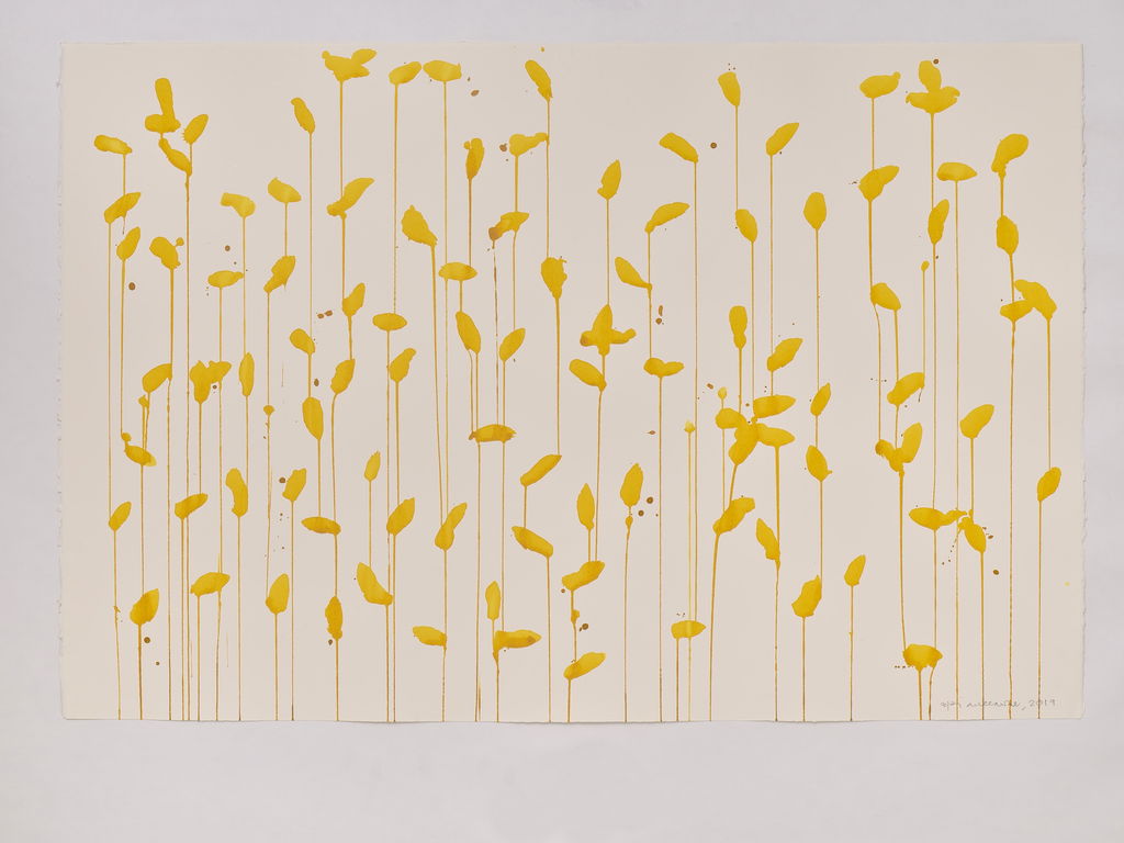 Daffodils main image