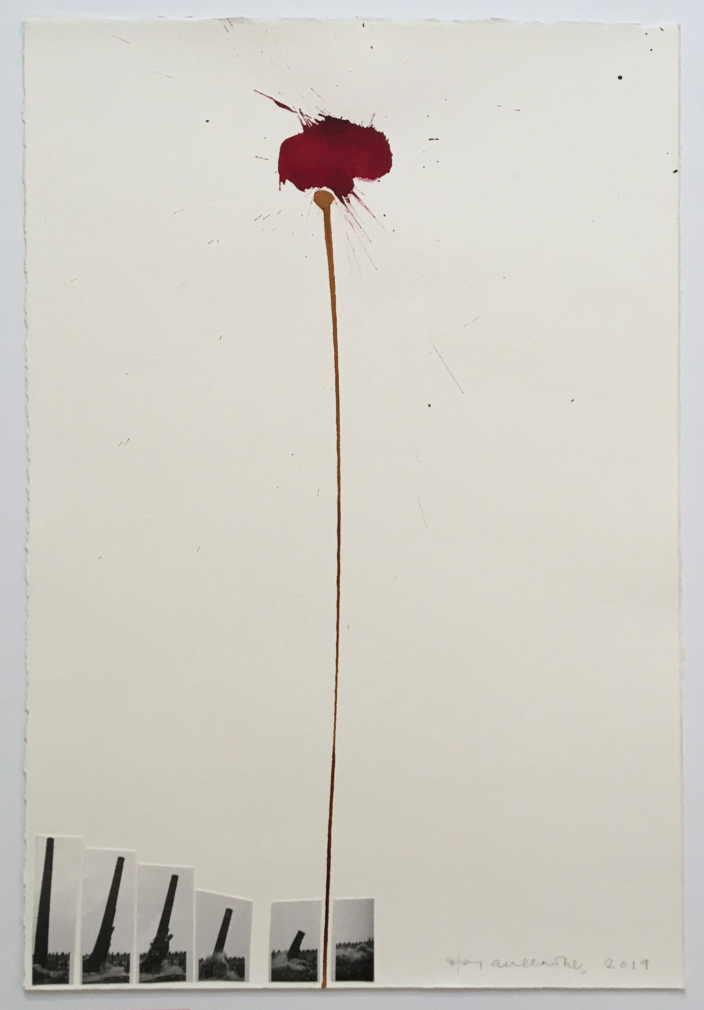 Biographical Poppies main image