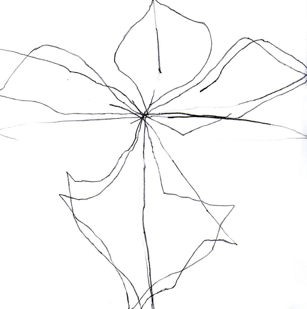 Untitled main image