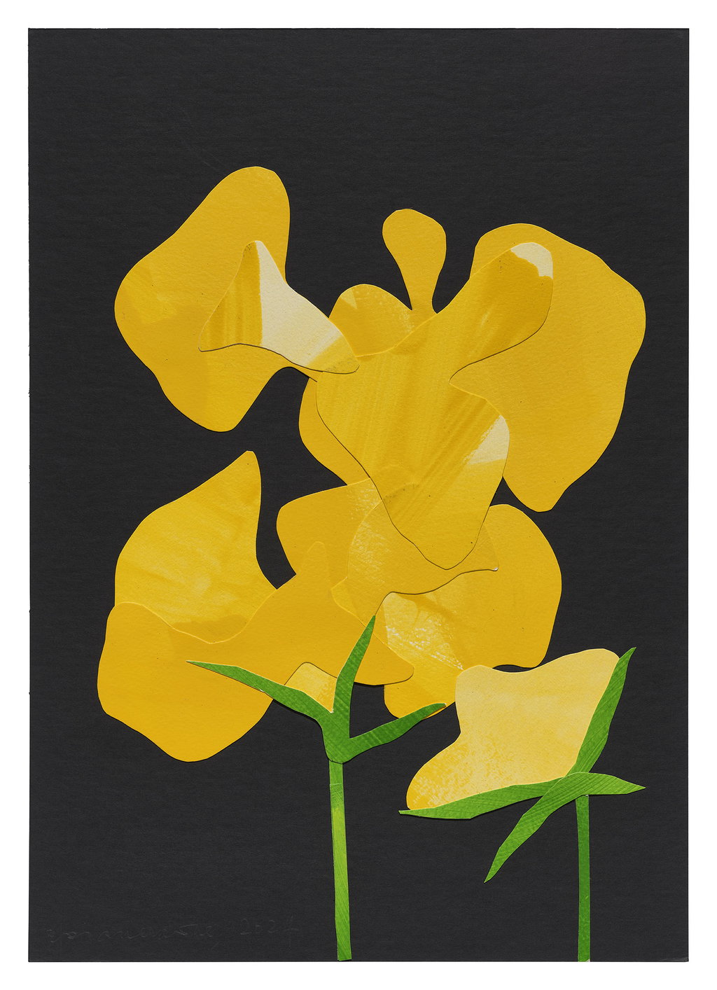 Untitled main image