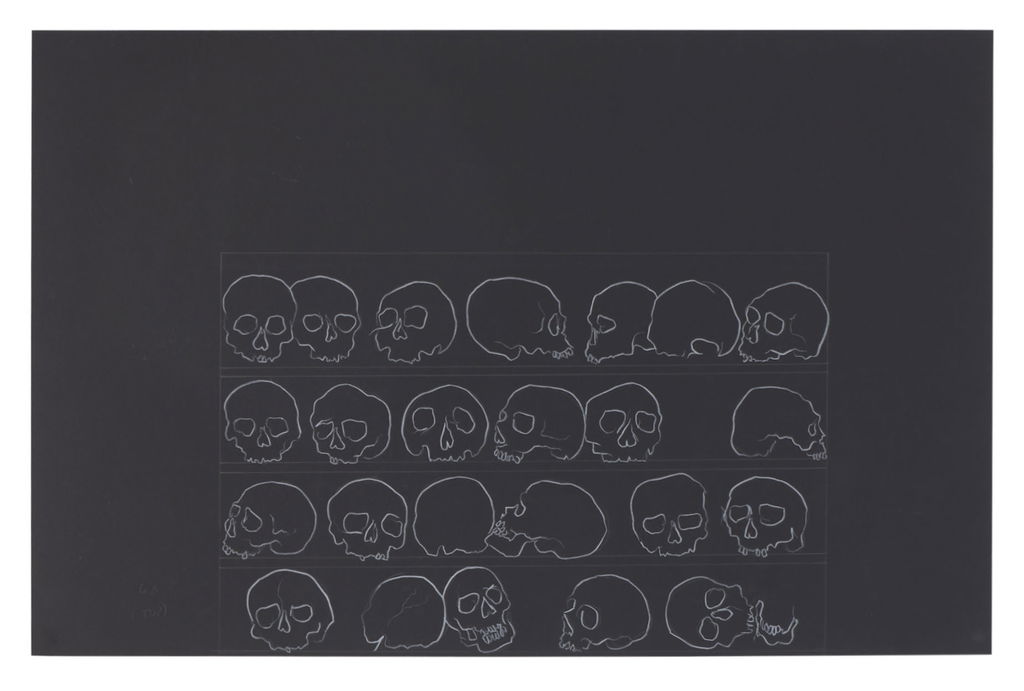 Preparatory skull drawings for Stroud Ossuary main image
