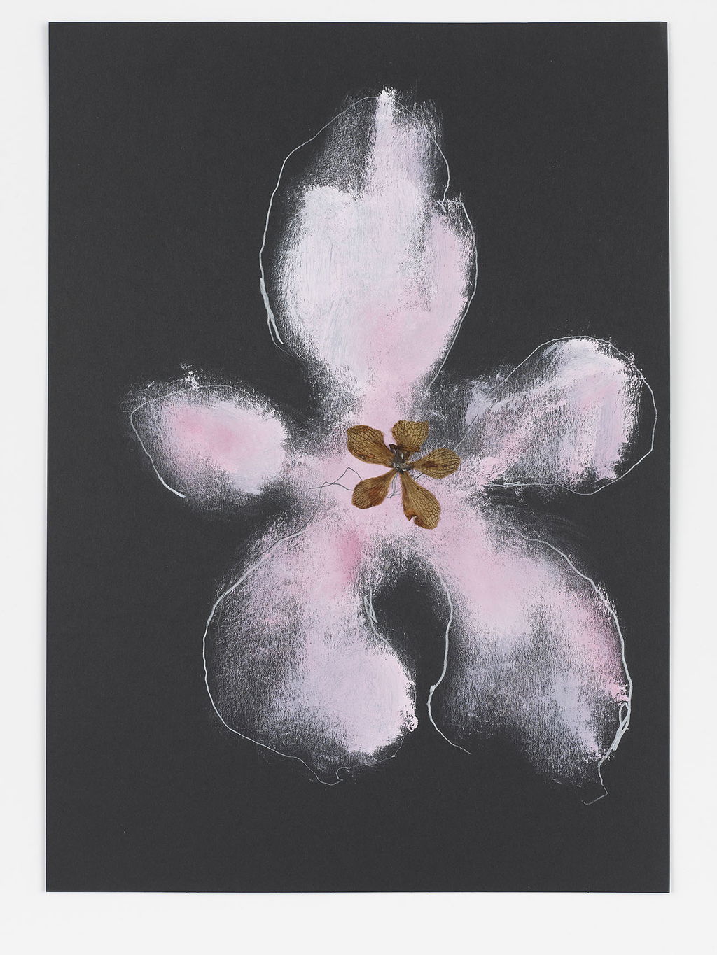 Night Orchid 167 main image