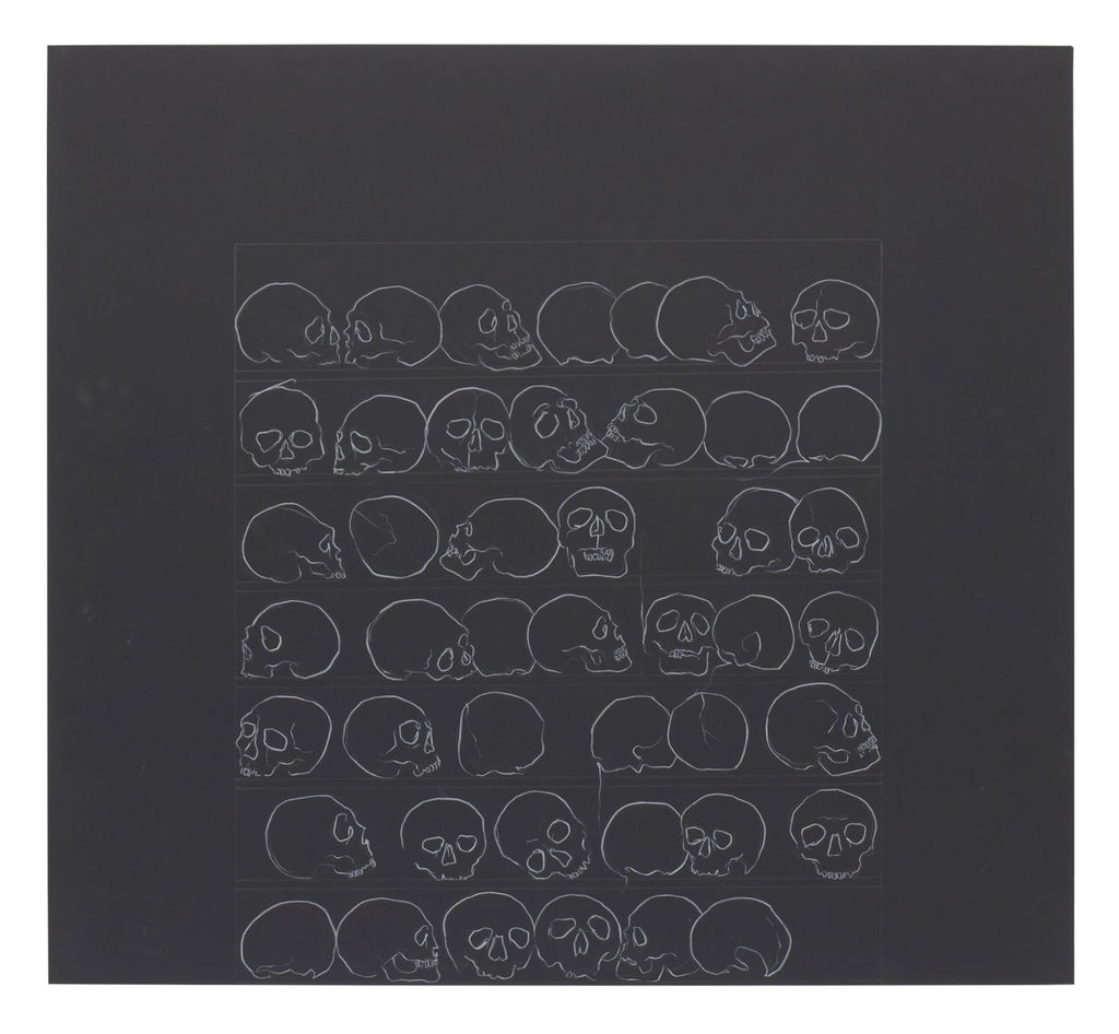 Preparatory skull drawings for Stroud Ossuary main image