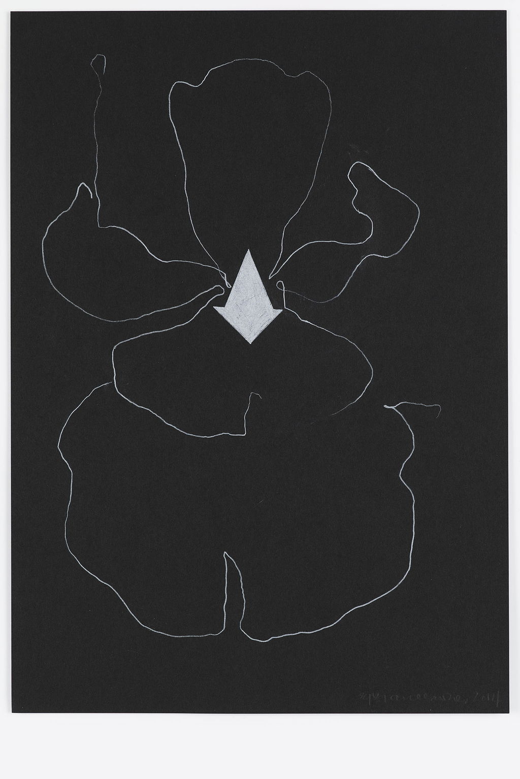 Night Orchid 78 main image