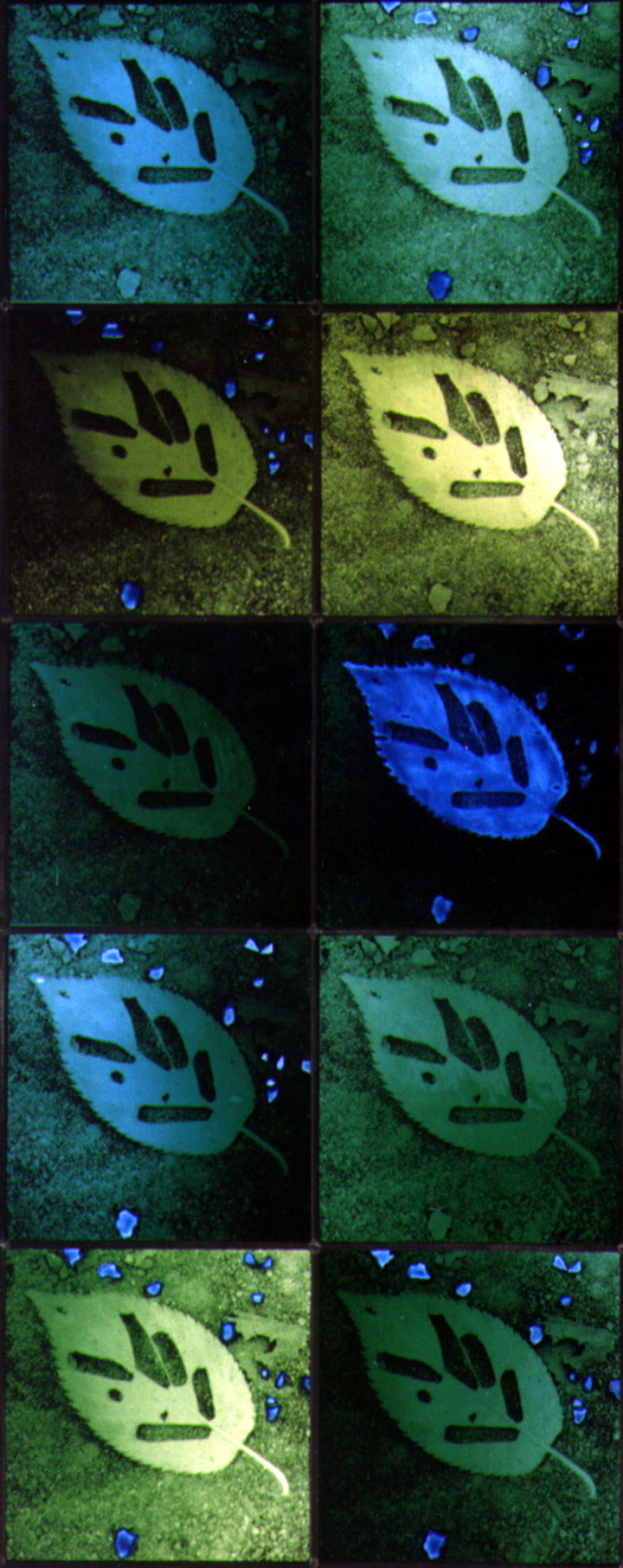 Rye Hospital main image