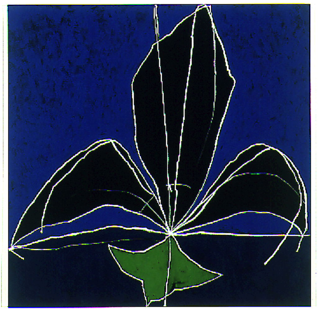 Untitled main image