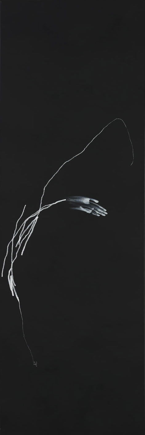Untitled main image