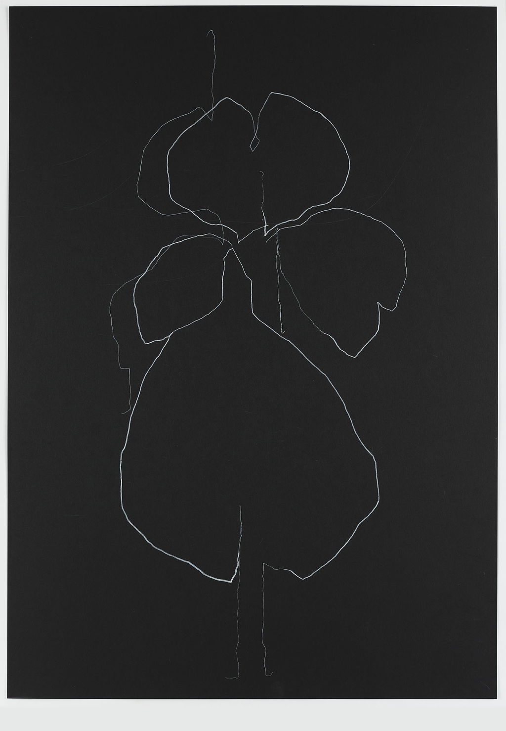 Night Orchid 93 main image