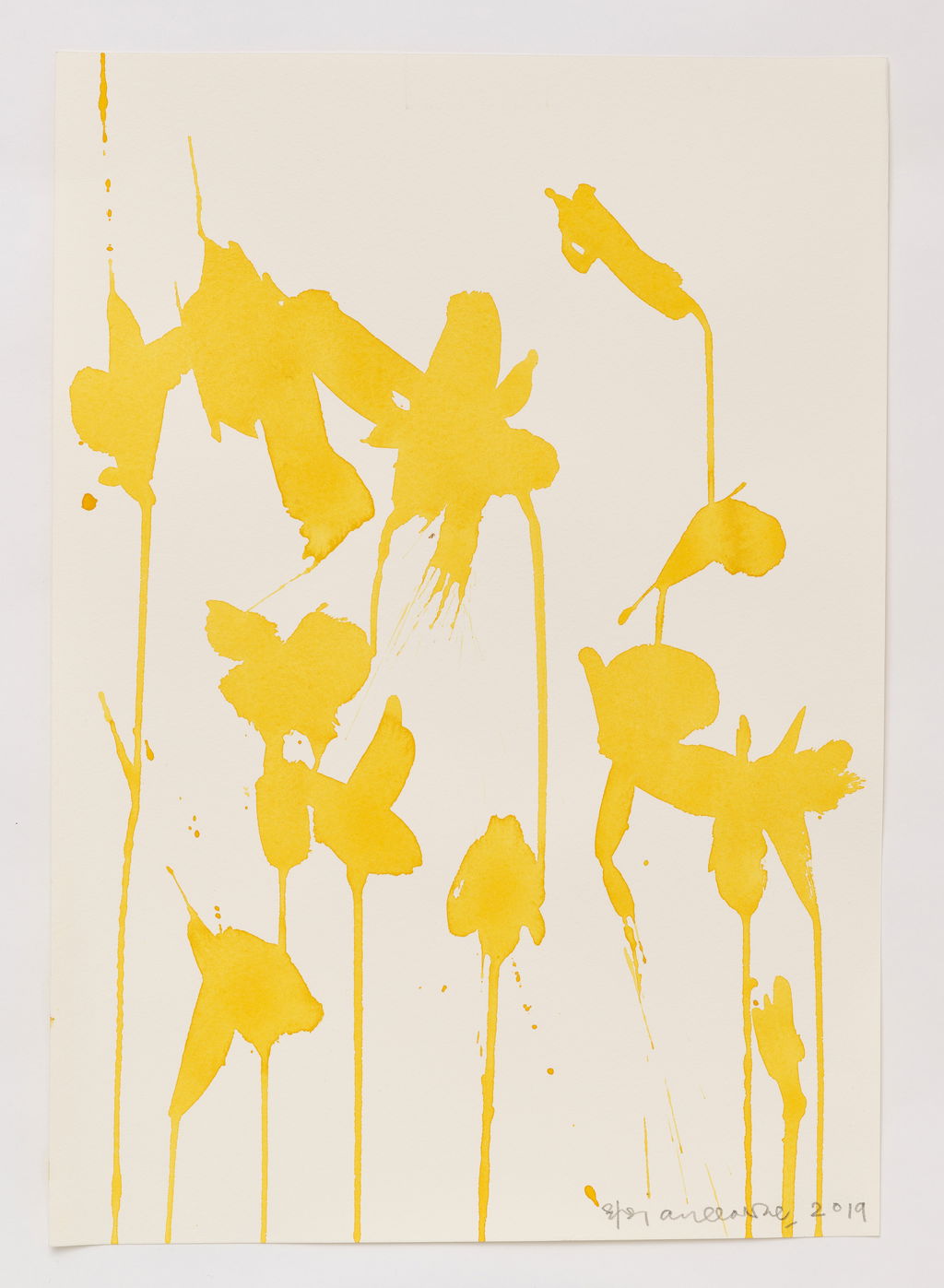 Daffodils main image