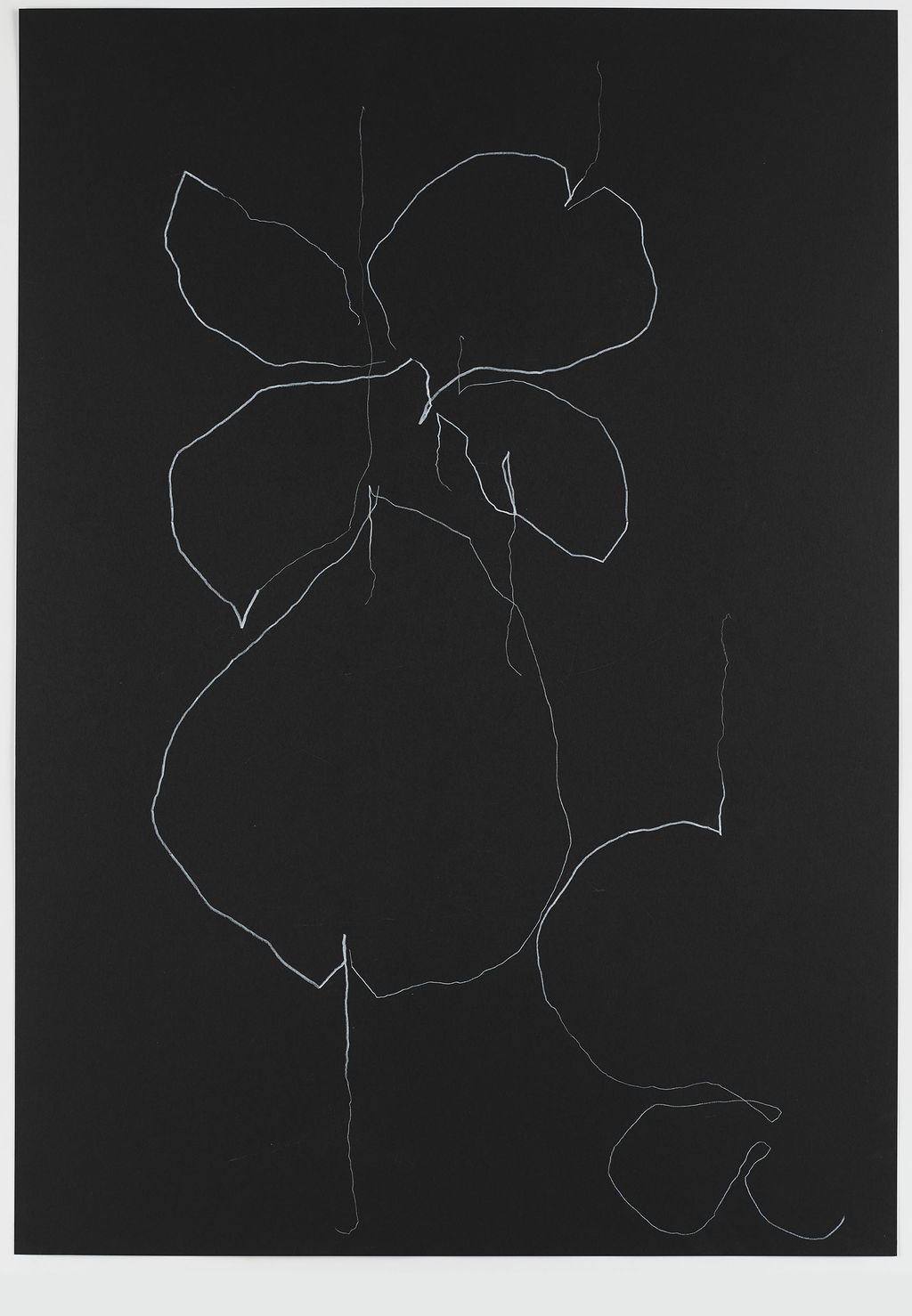 Night Orchid 92 main image