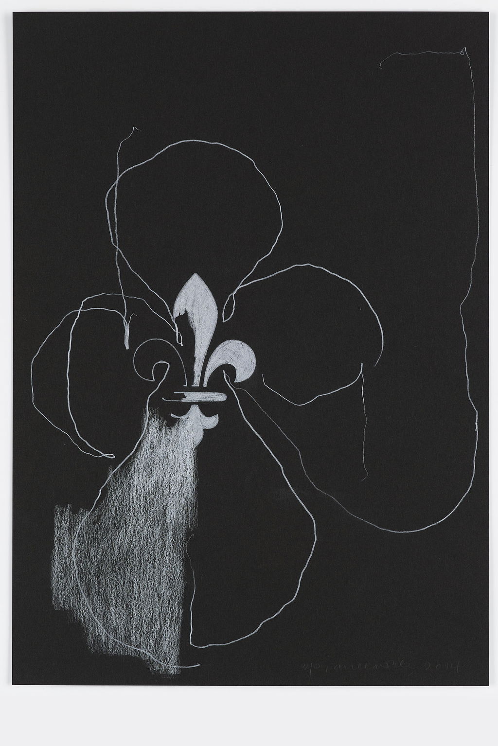 Night Orchid 79 main image