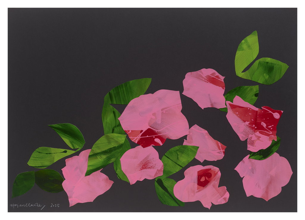 Untitled main image
