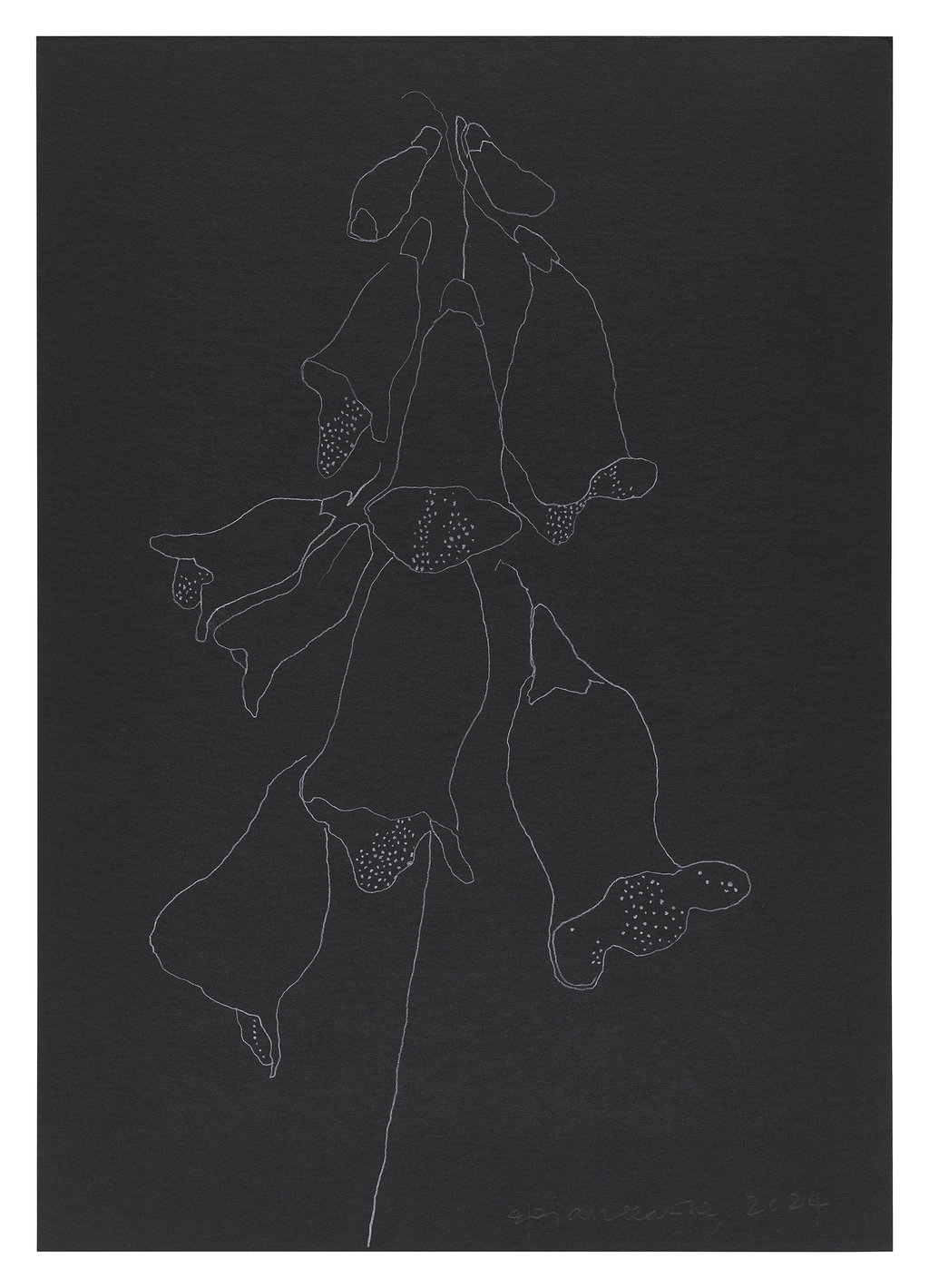 Untitled main image