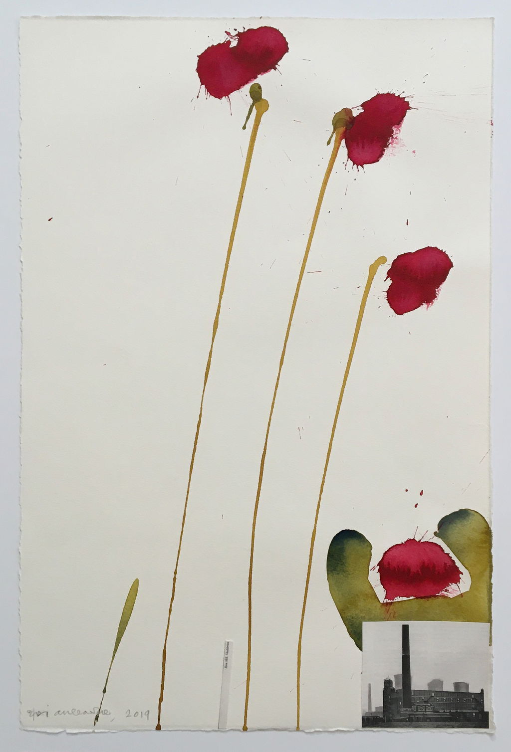 Biographical Poppies main image