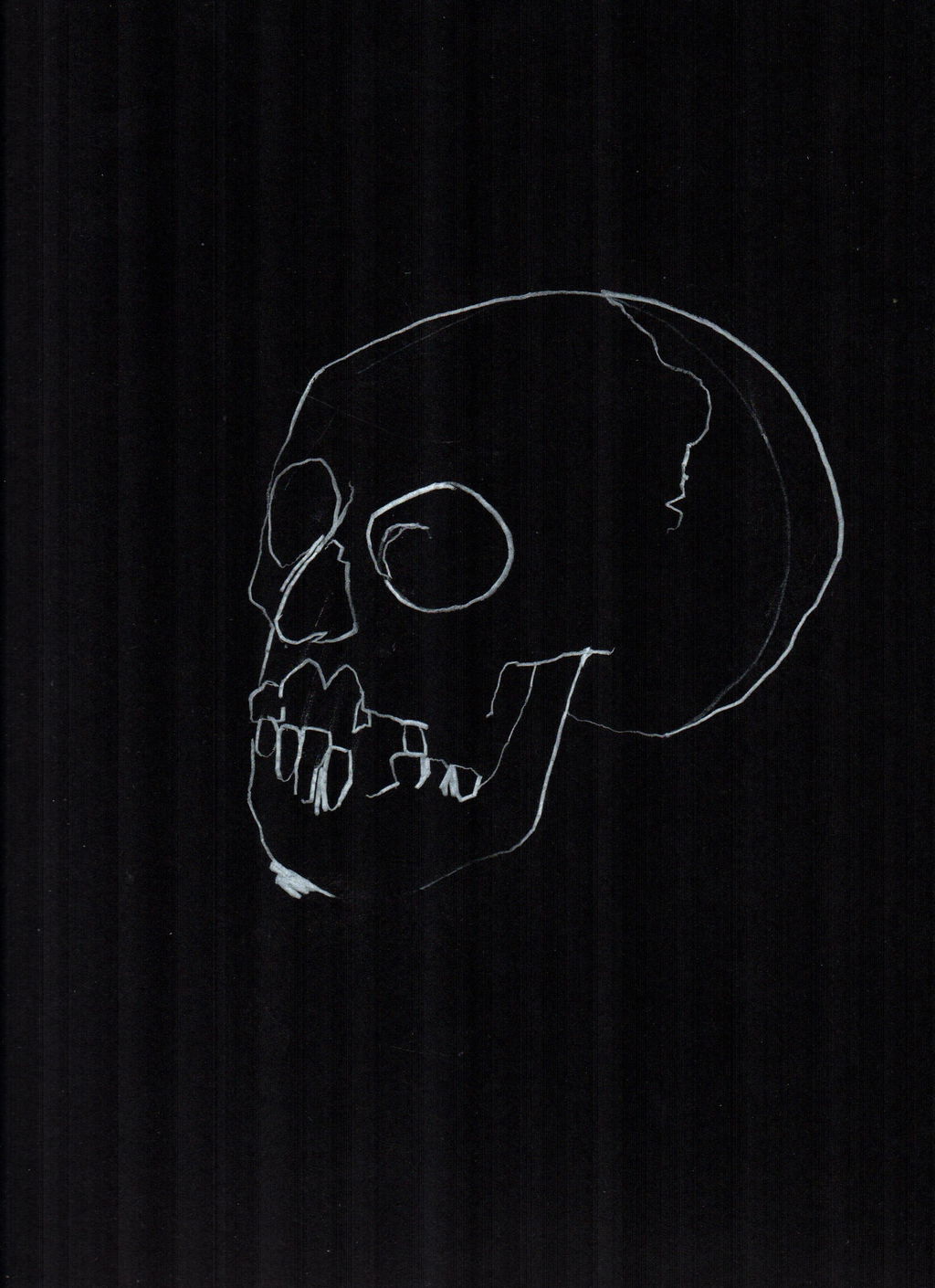 Skull Study 16 main image
