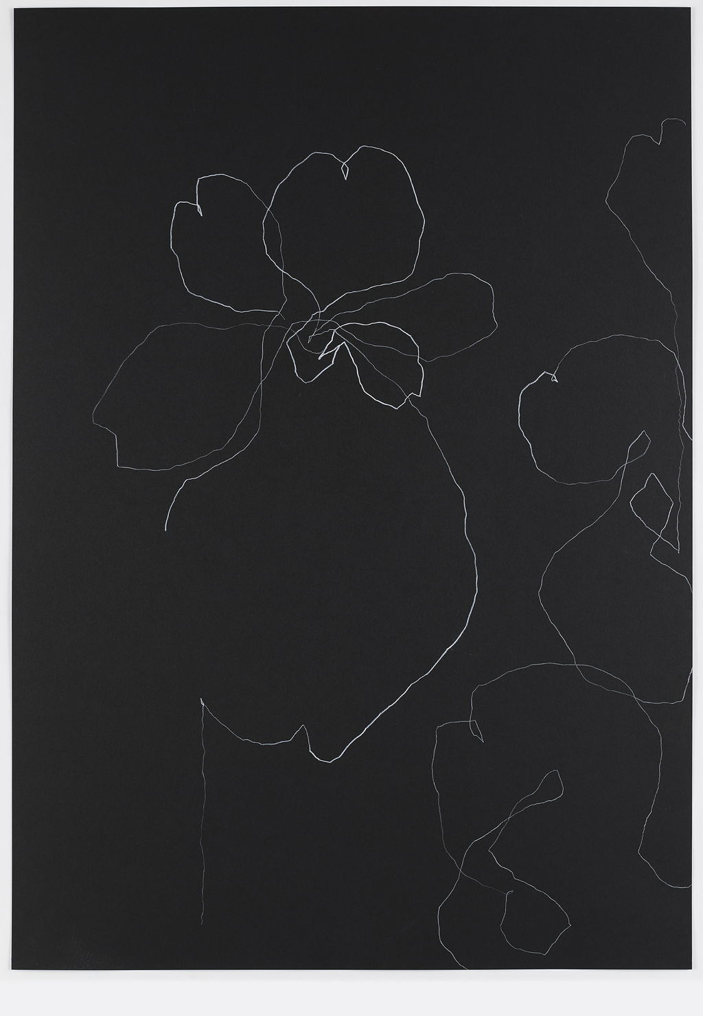 Night Orchid 36 main image