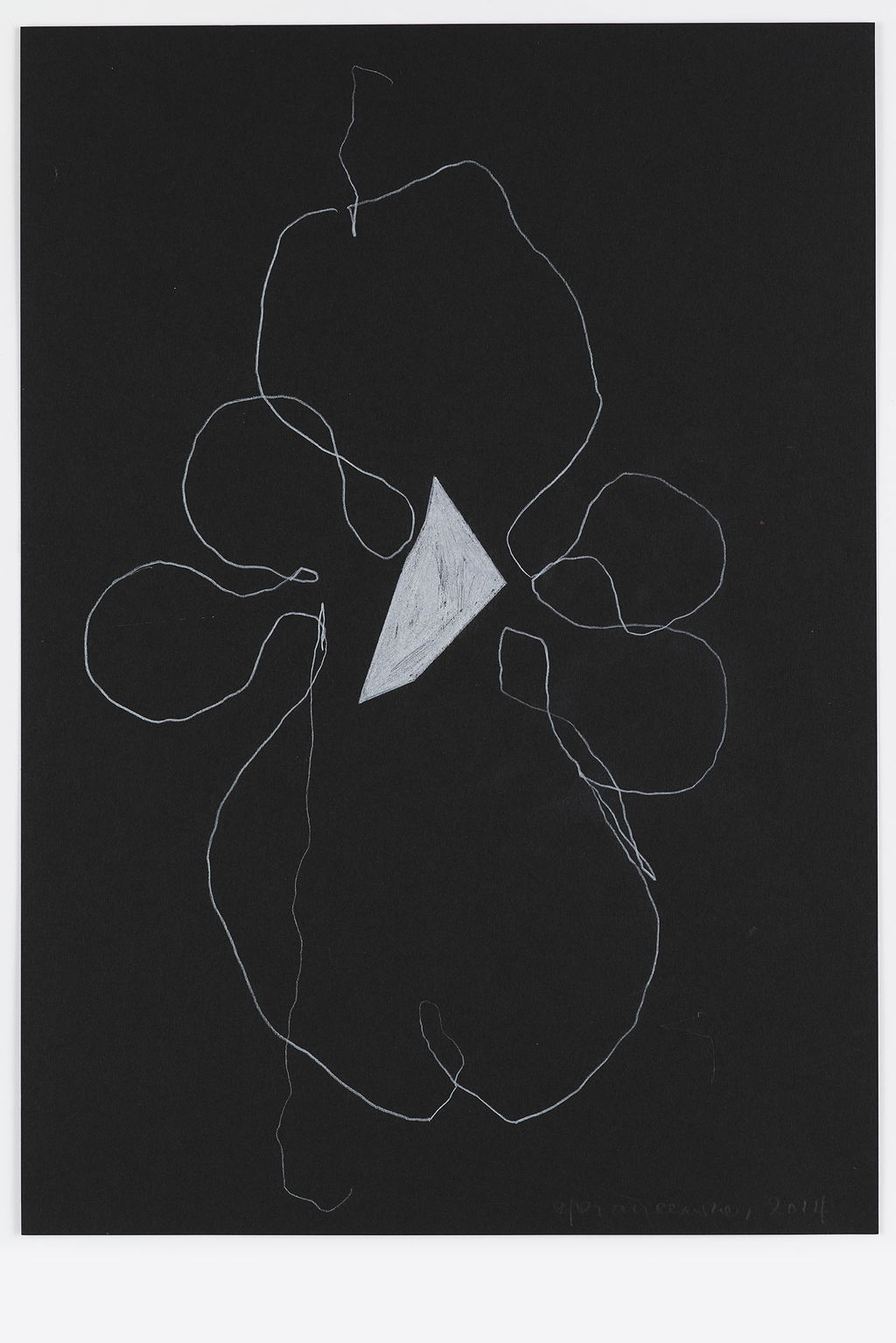 Night Orchid 71 main image