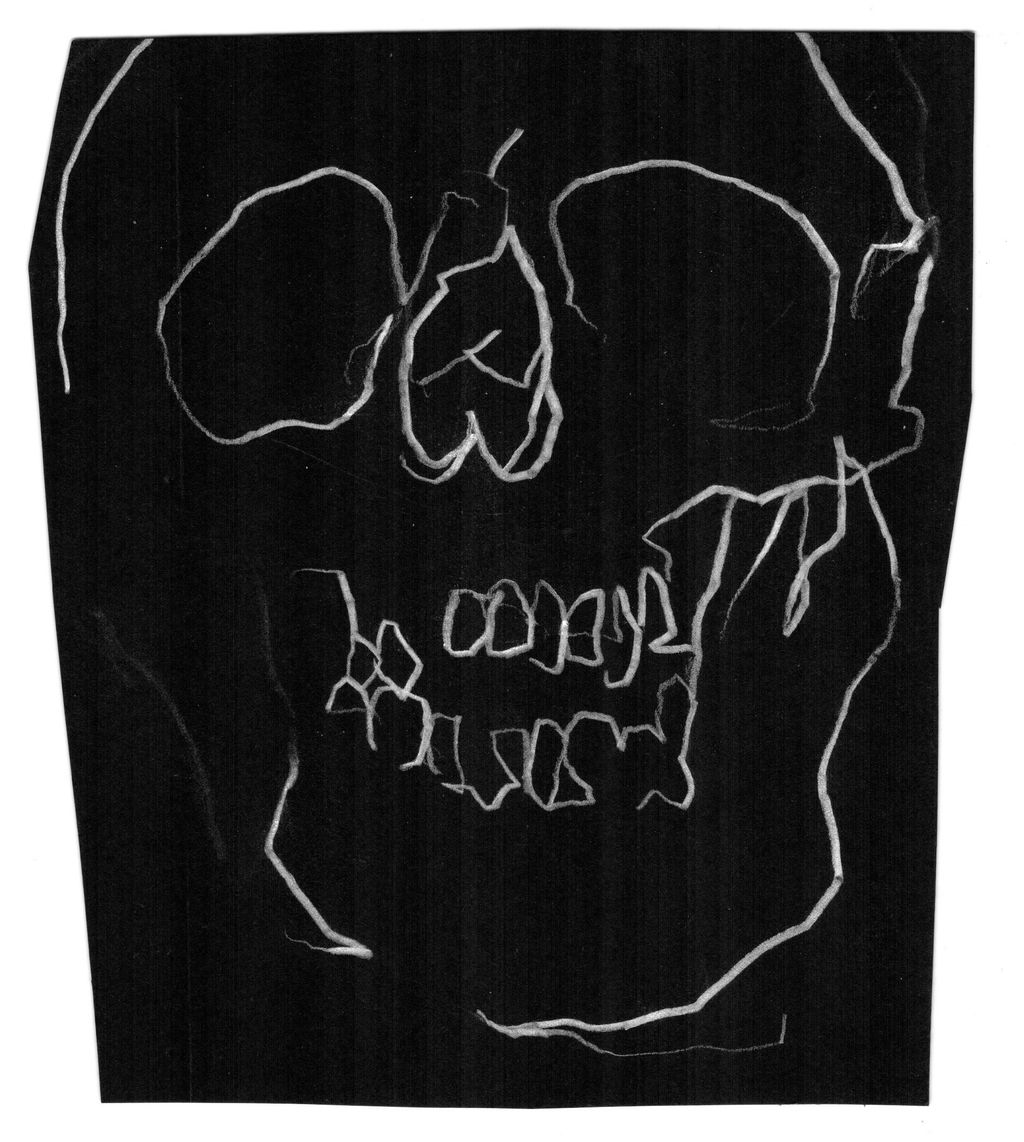 Skull Study 8 main image