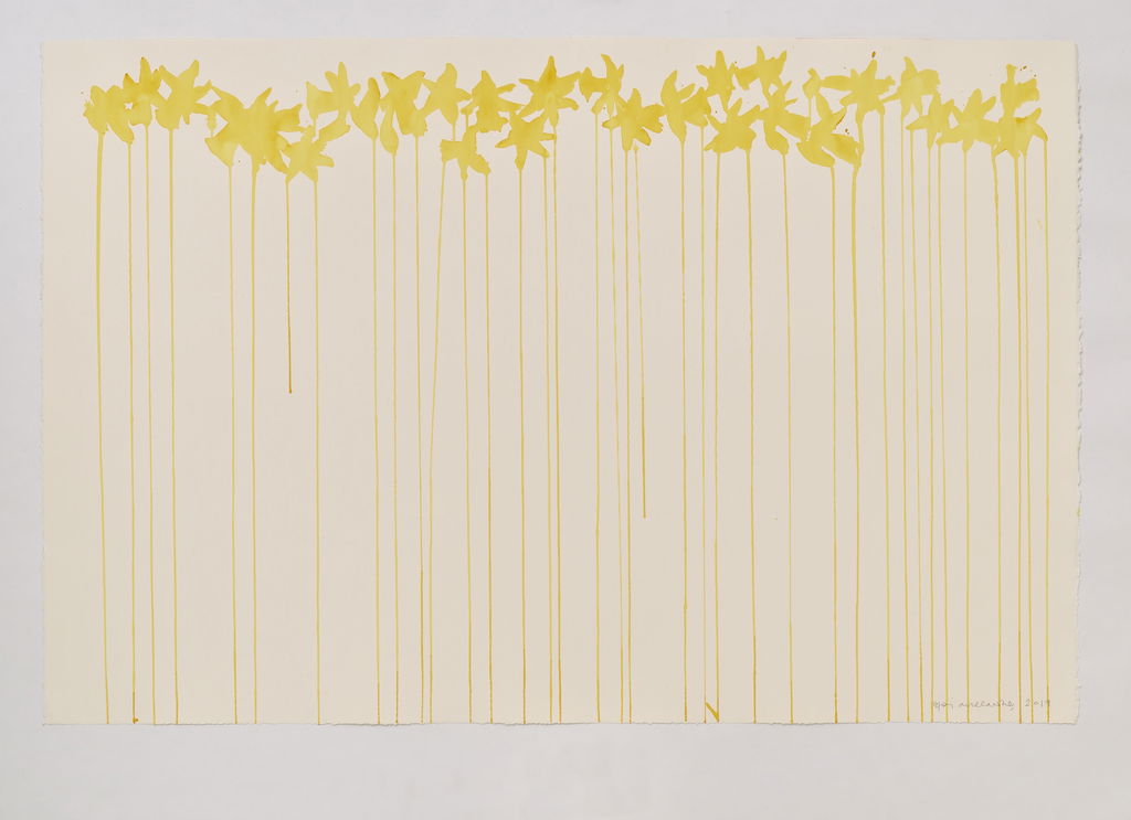Daffodils main image