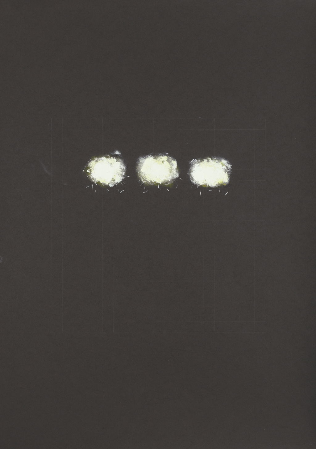 Untitled main image