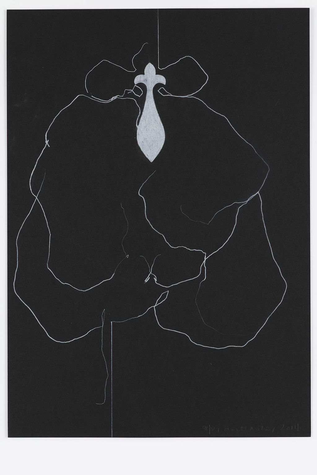 Night Orchid 86 main image
