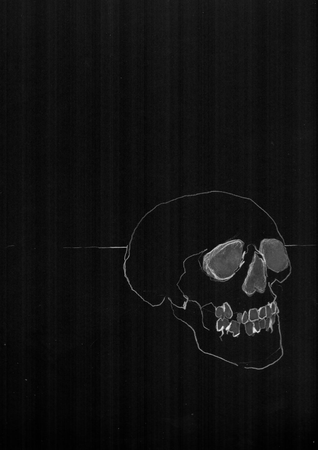 Skull Study 3 main image