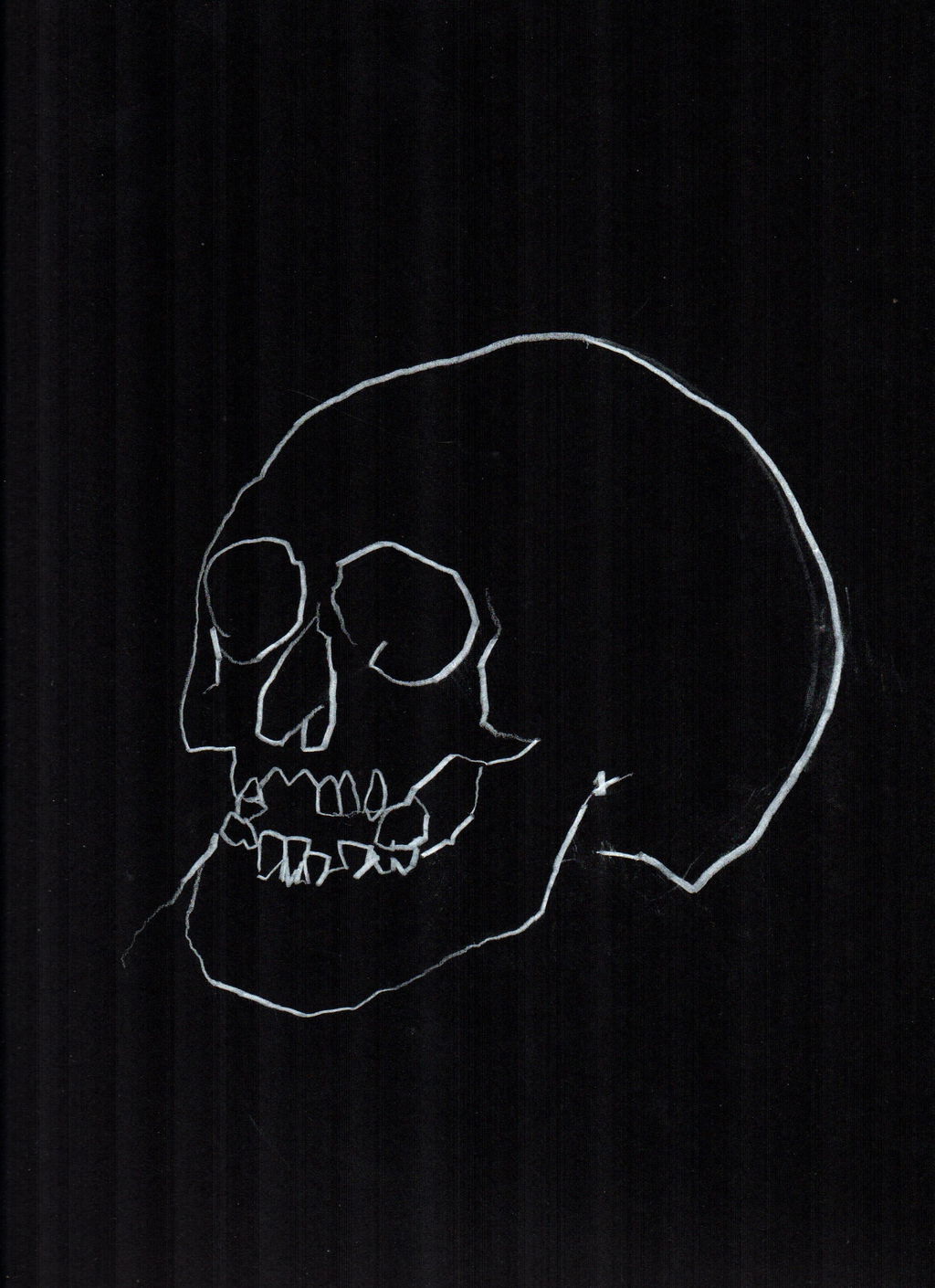 Skull Study 15 main image