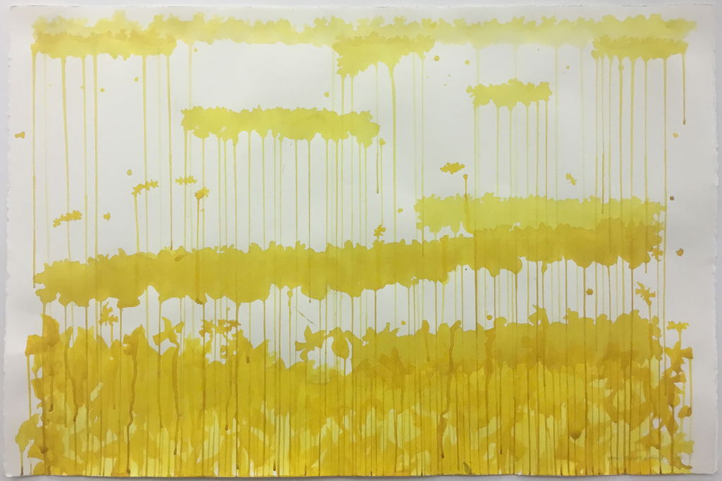 Study 5 for Daffodil stained glass screen