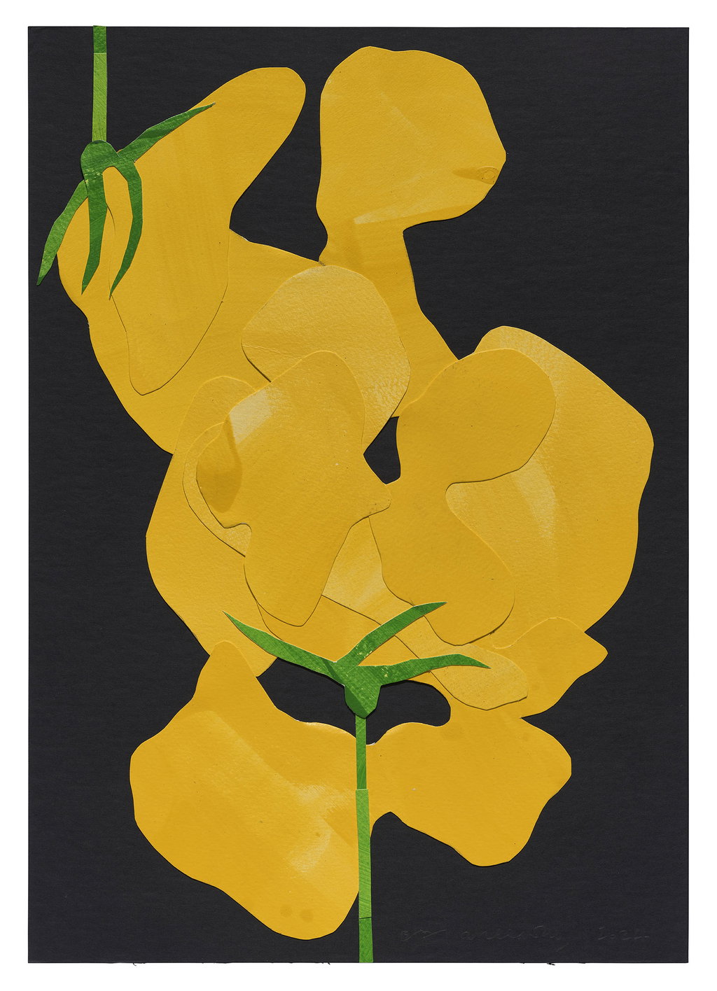 Untitled main image