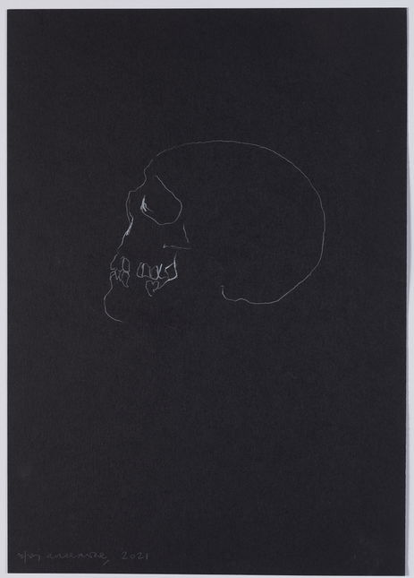 Skull Study main image