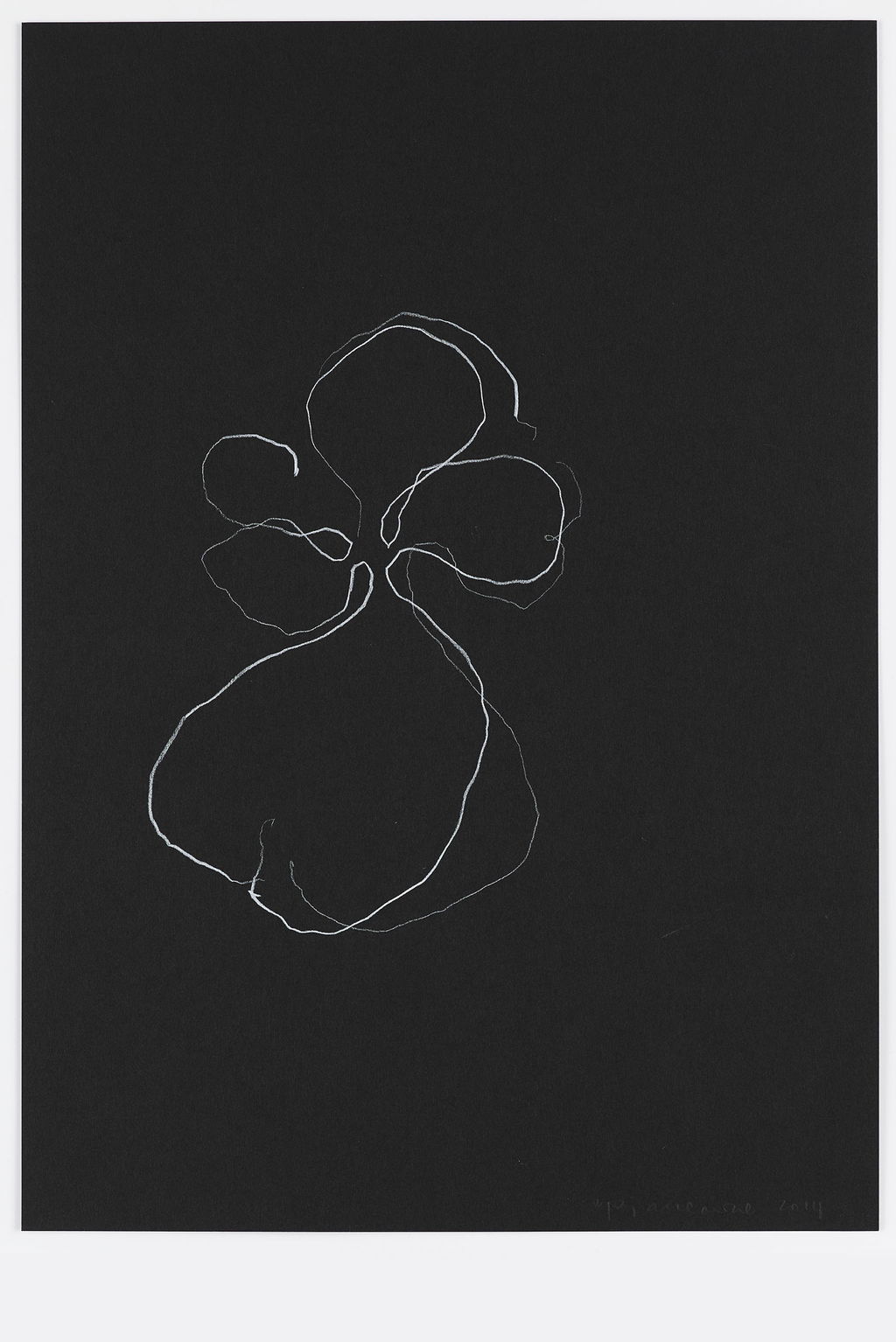 Night Orchid 29 main image
