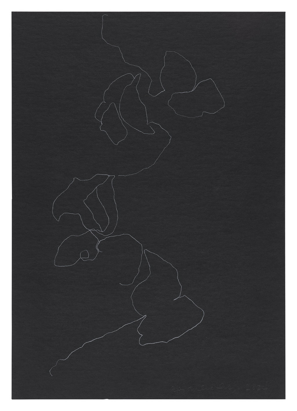 Untitled main image