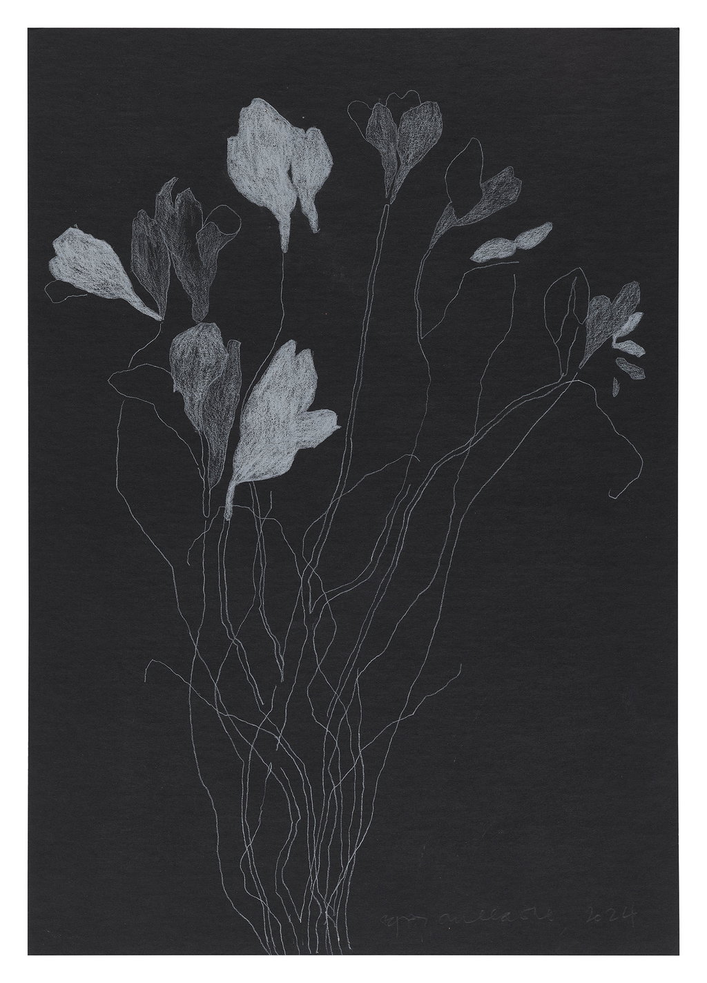 Untitled main image