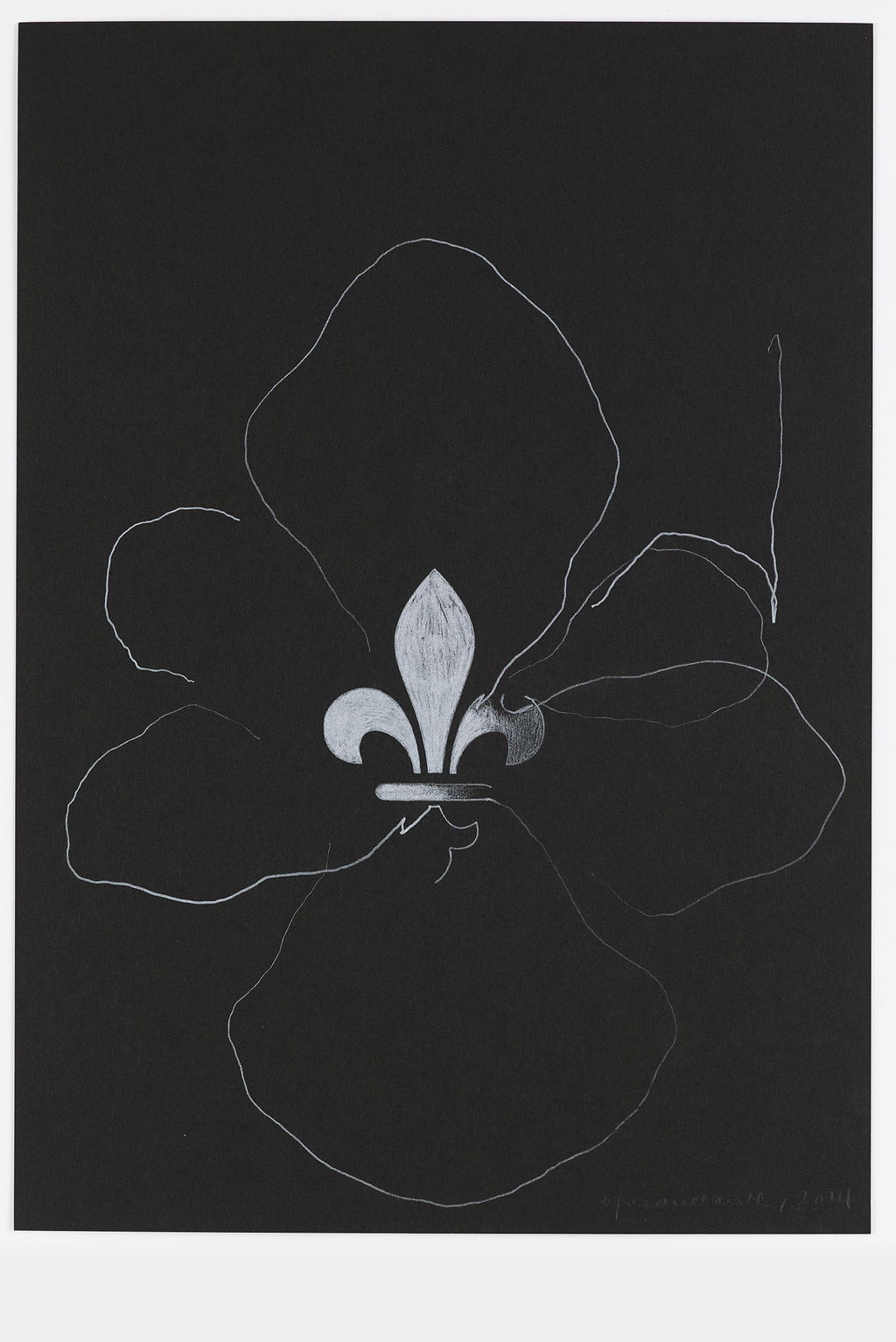 Night Orchid 75 main image
