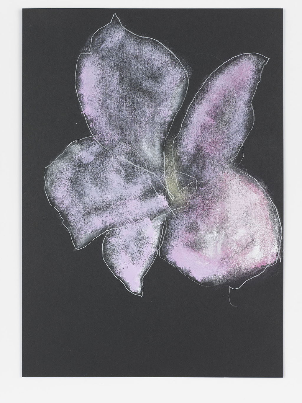 Night Orchid 161 main image