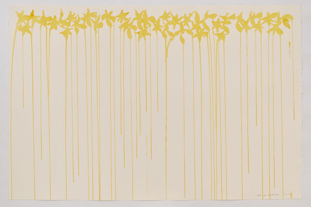 Daffodils main image