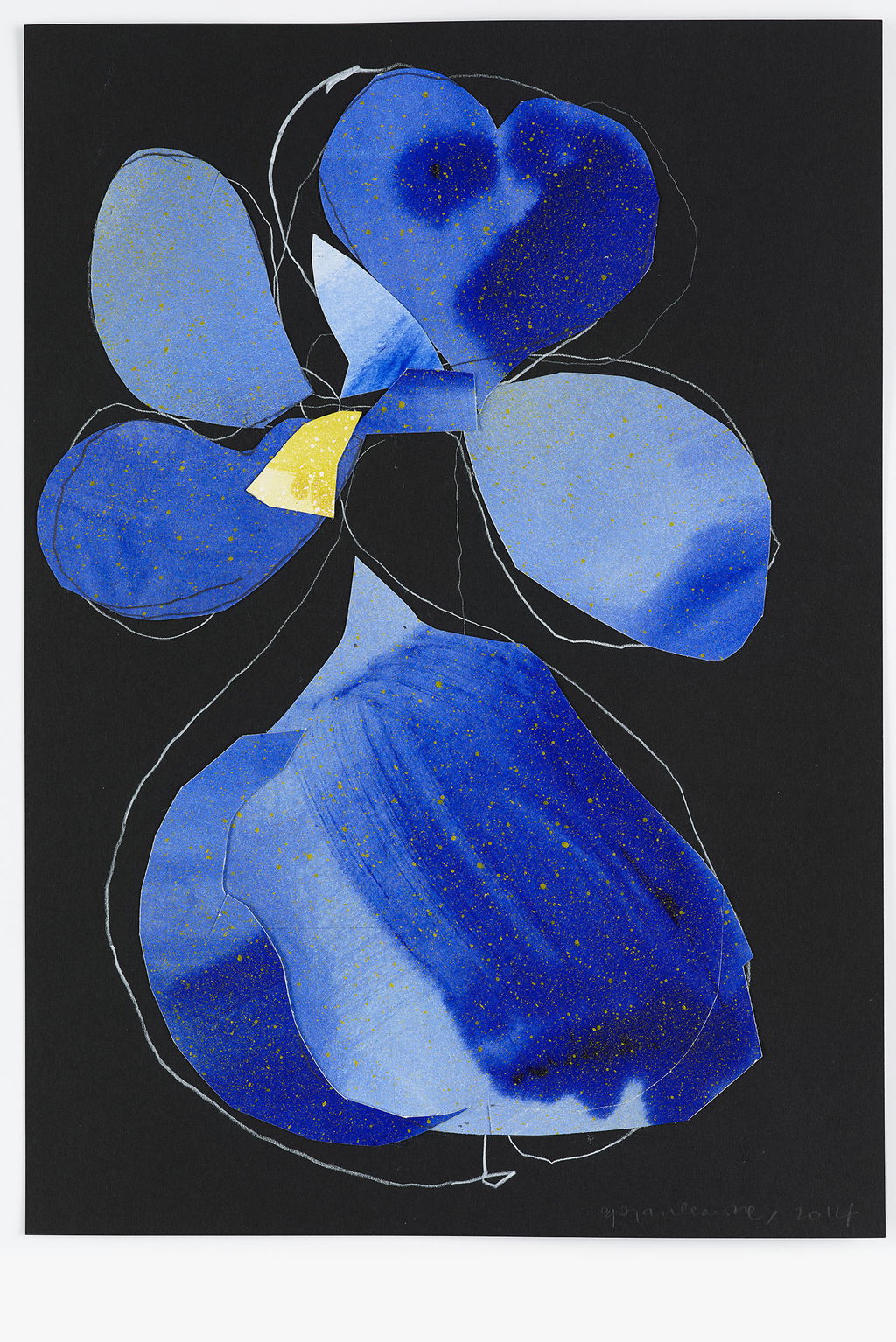 Night Orchid 205 main image
