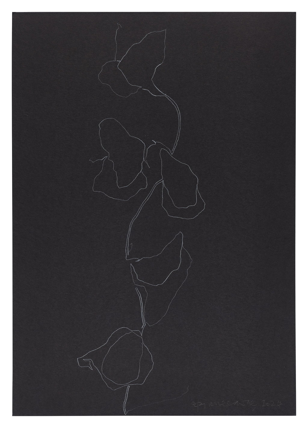 Untitled main image