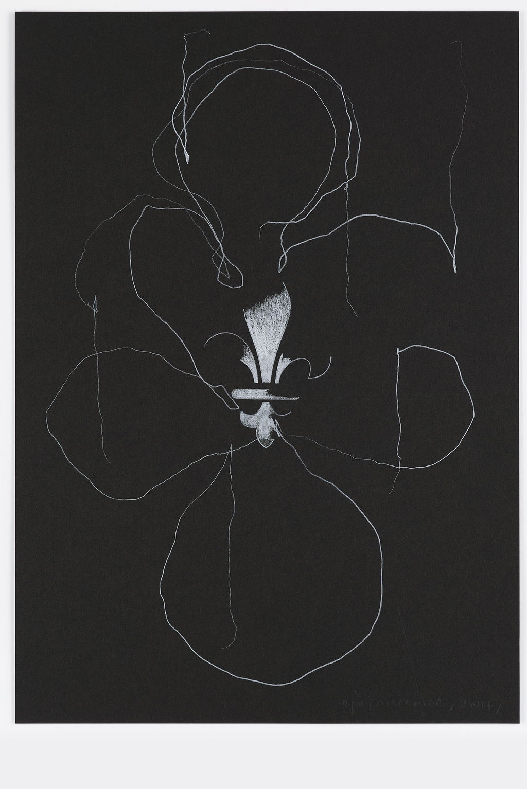 Night Orchid 83 main image