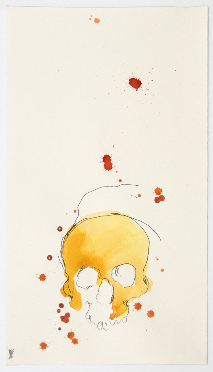 Study for Skull 3 main image