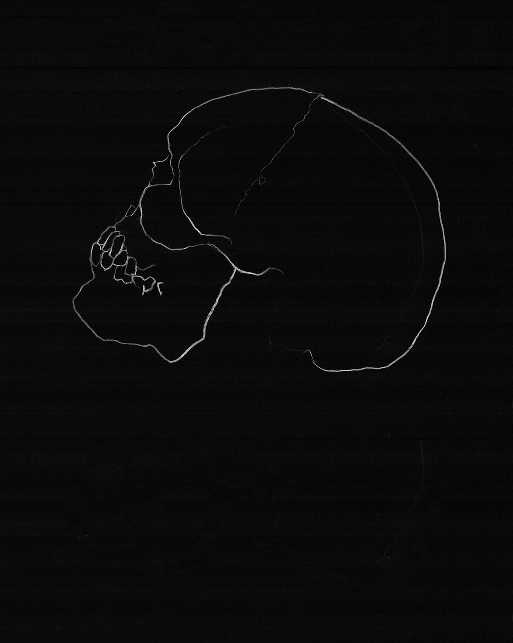 Skull Study 5 main image