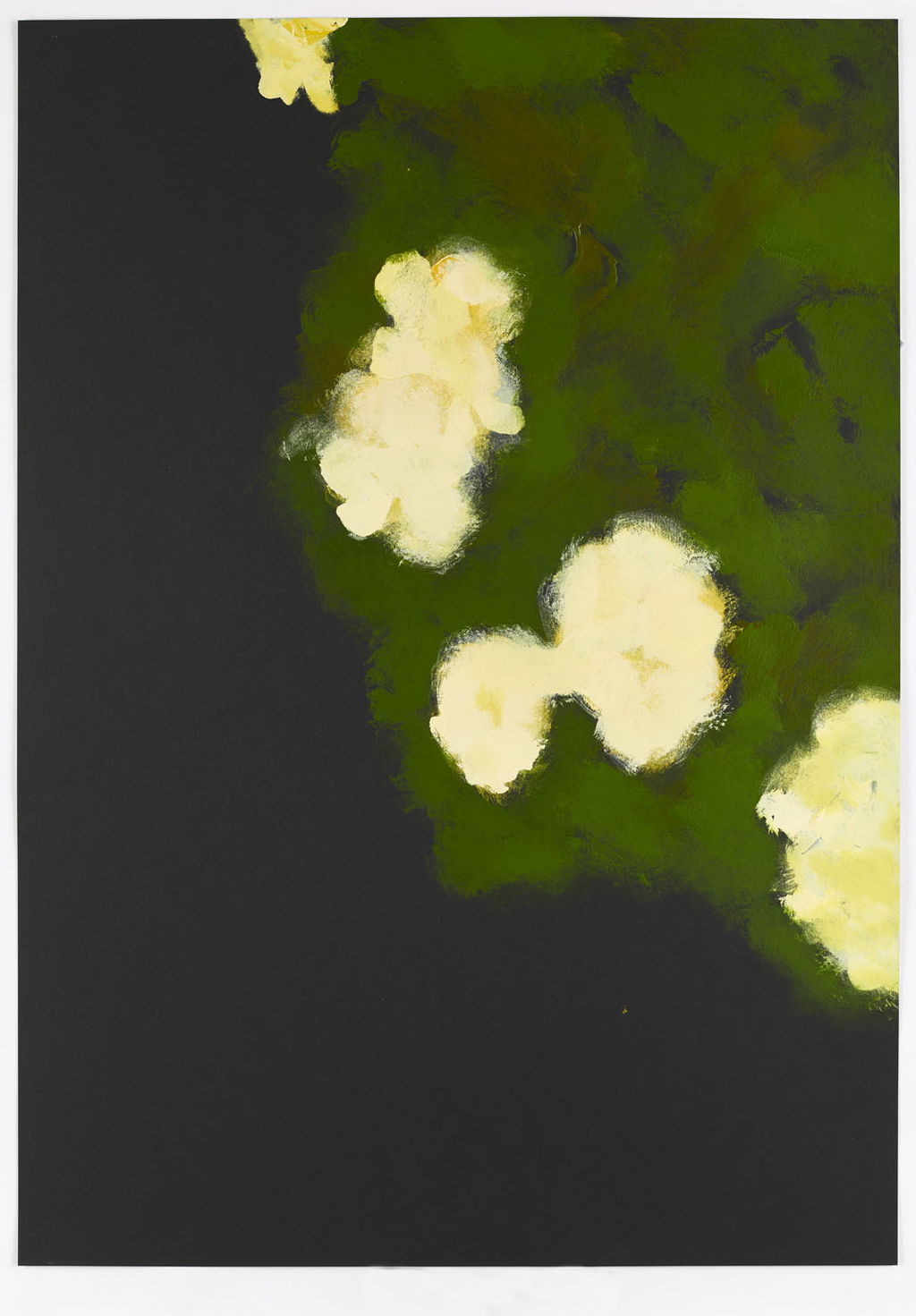 Primrose Cluster 14 main image