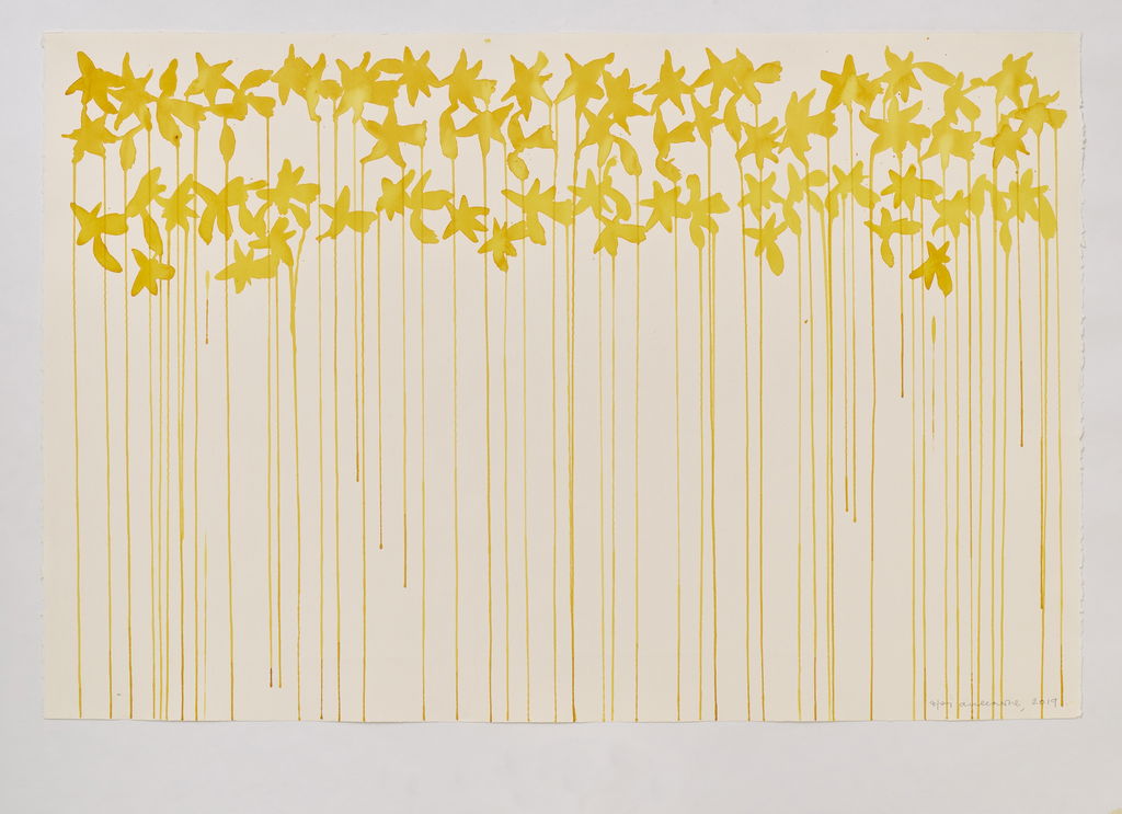 Daffodils main image