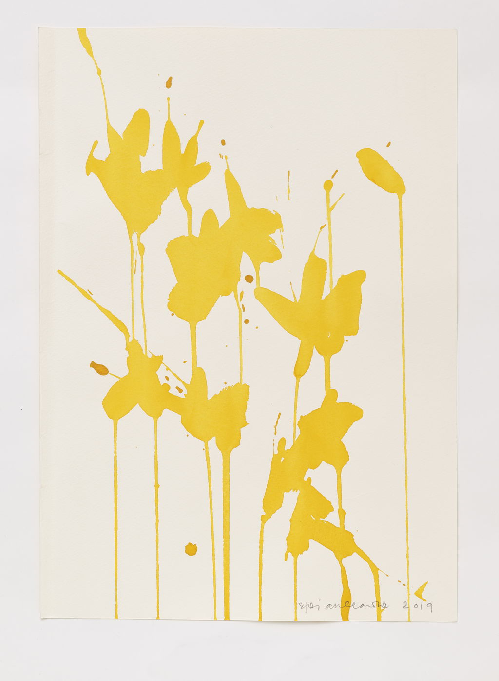 Daffodils main image