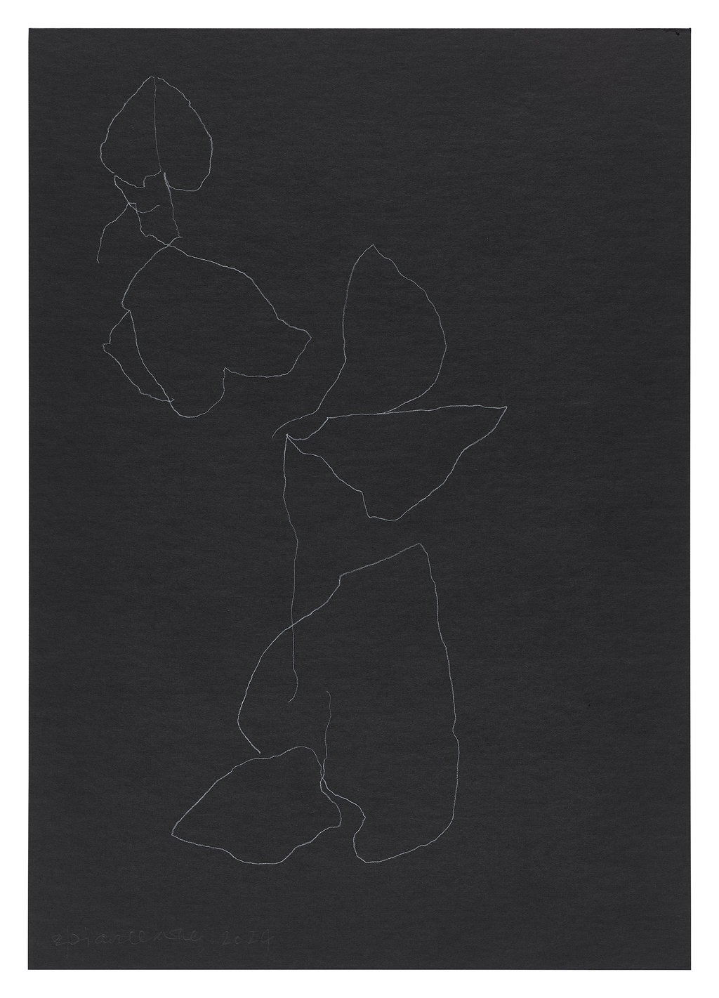 Untitled main image