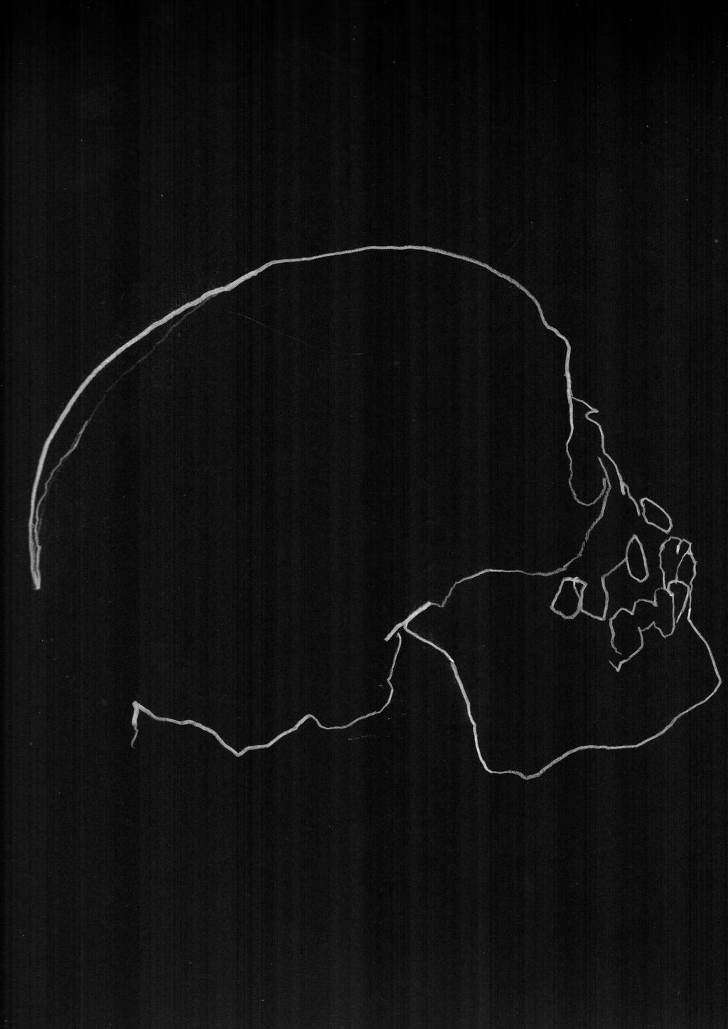 Skull Study 10 main image