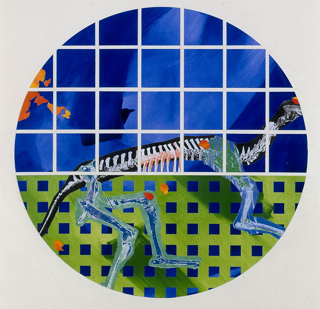 Design for Stuttgart Natural History Museum main image